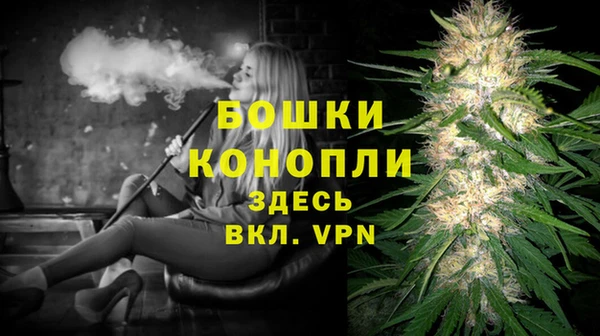 сатива Богданович