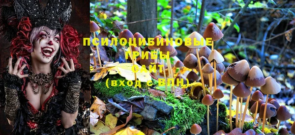 метадон Белокуриха