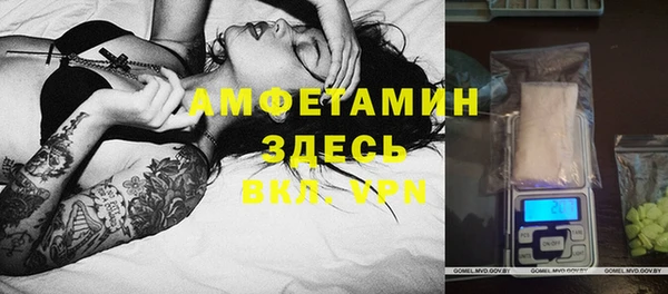 сатива Богданович