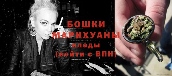 сатива Богданович