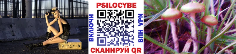 площадка телеграм  Краснообск  Псилоцибиновые грибы мицелий 